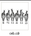 6caballos.jpg